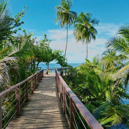 Oso Perezoso Pool Villa Puerto Viejo de Talamanca エクステリア 写真
