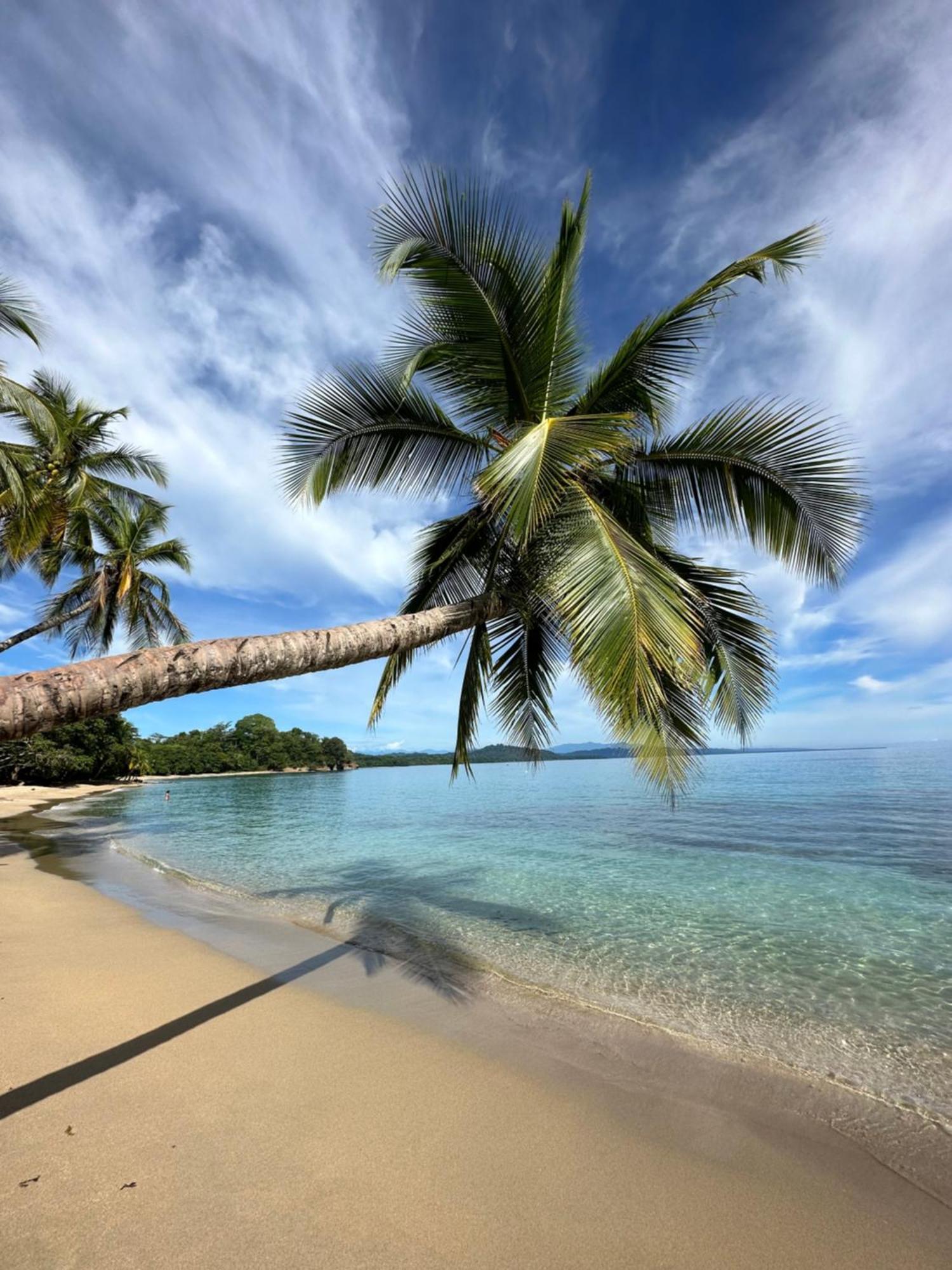Oso Perezoso Pool Villa Puerto Viejo de Talamanca エクステリア 写真