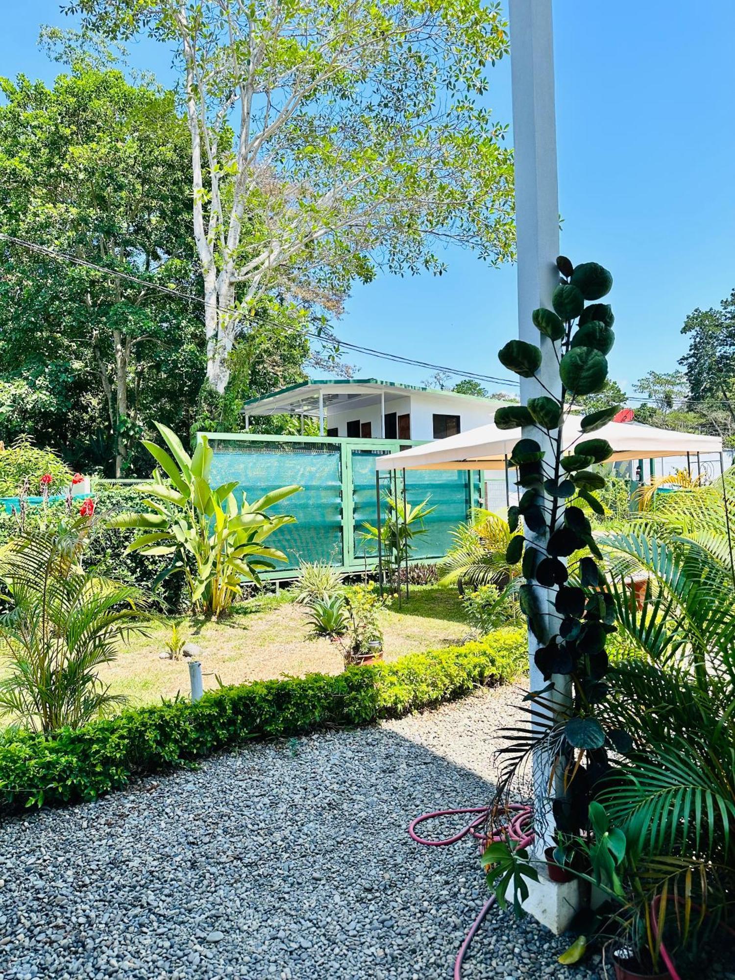 Oso Perezoso Pool Villa Puerto Viejo de Talamanca エクステリア 写真