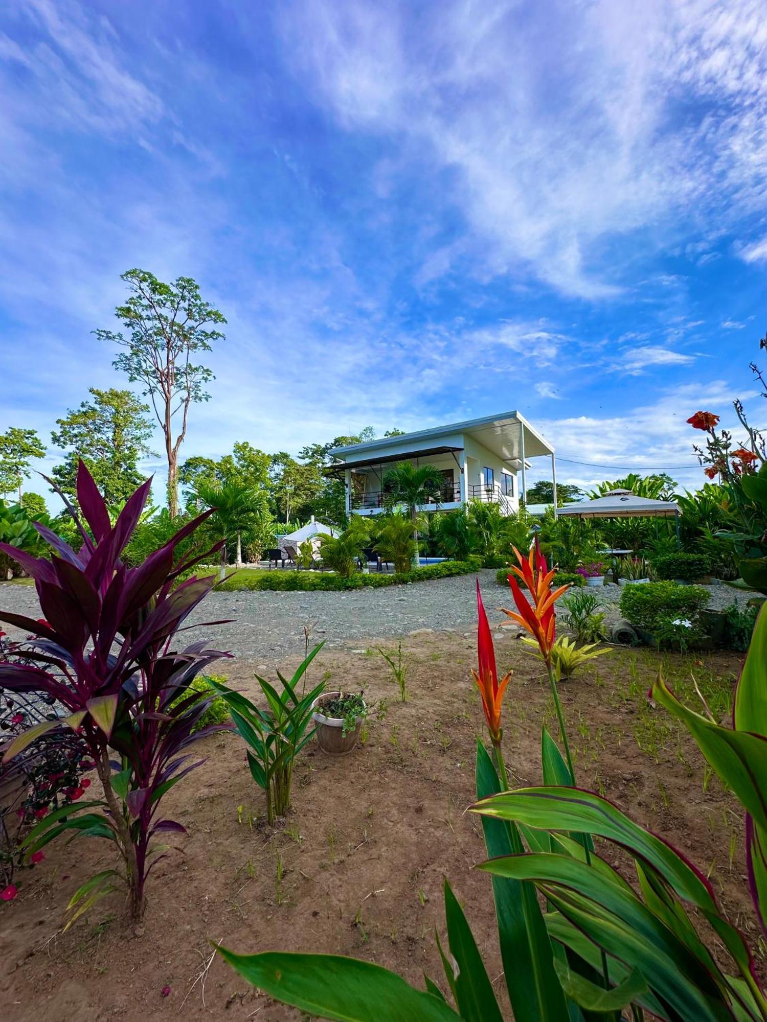Oso Perezoso Pool Villa Puerto Viejo de Talamanca エクステリア 写真