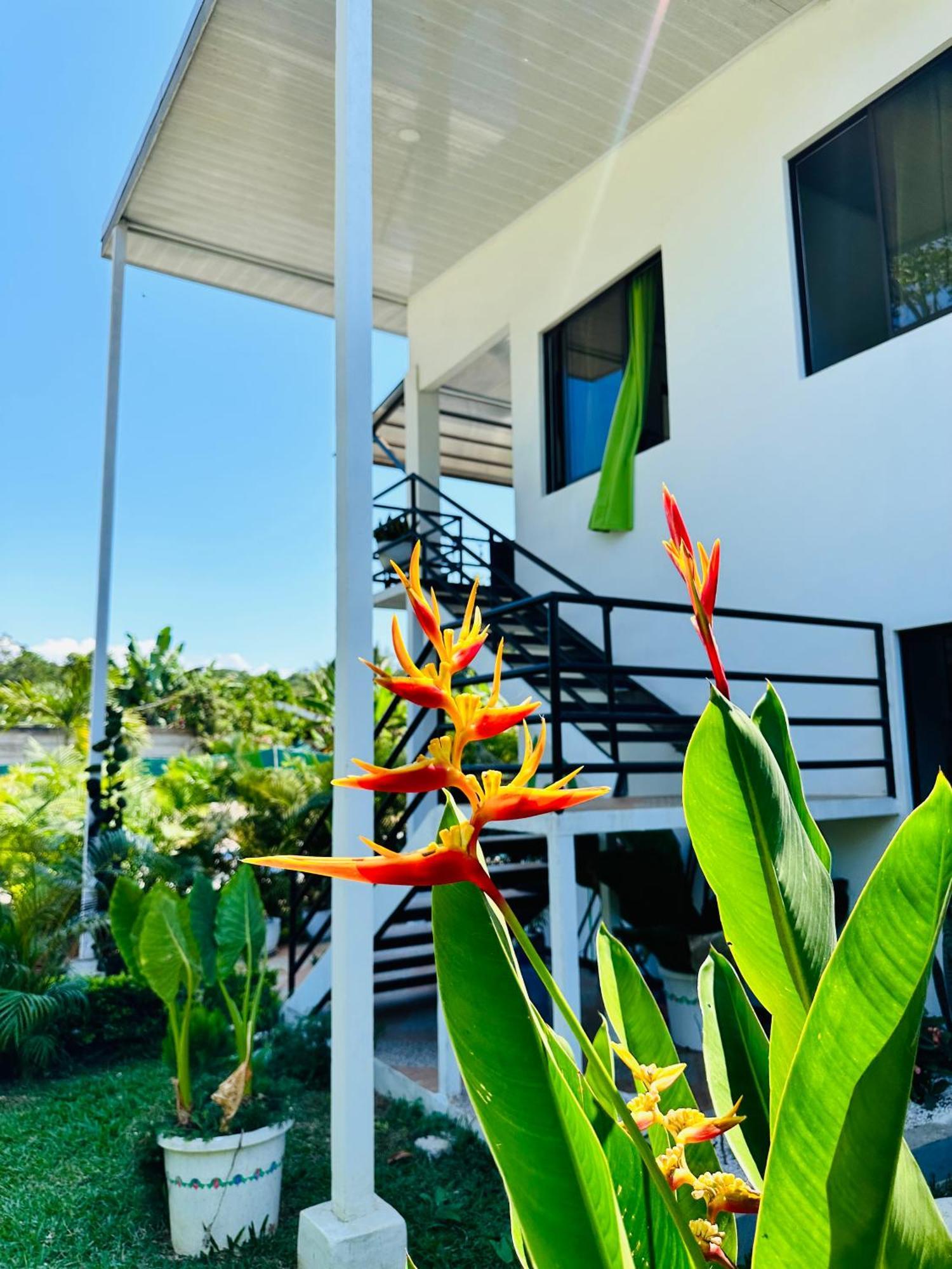 Oso Perezoso Pool Villa Puerto Viejo de Talamanca エクステリア 写真