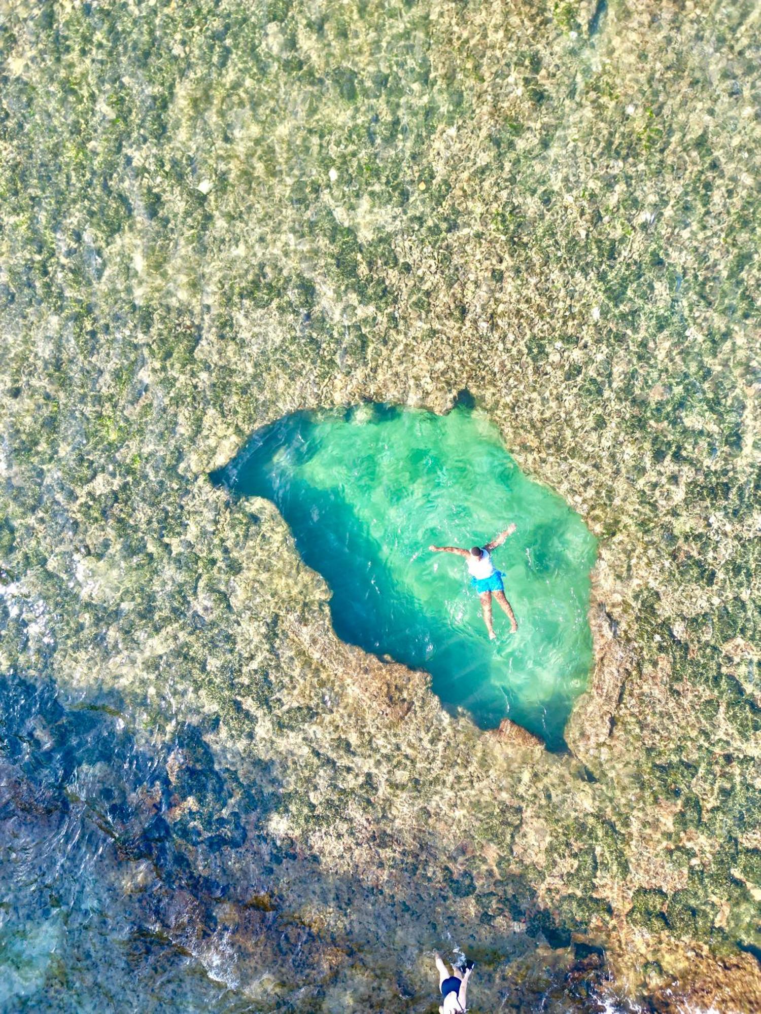 Oso Perezoso Pool Villa Puerto Viejo de Talamanca エクステリア 写真