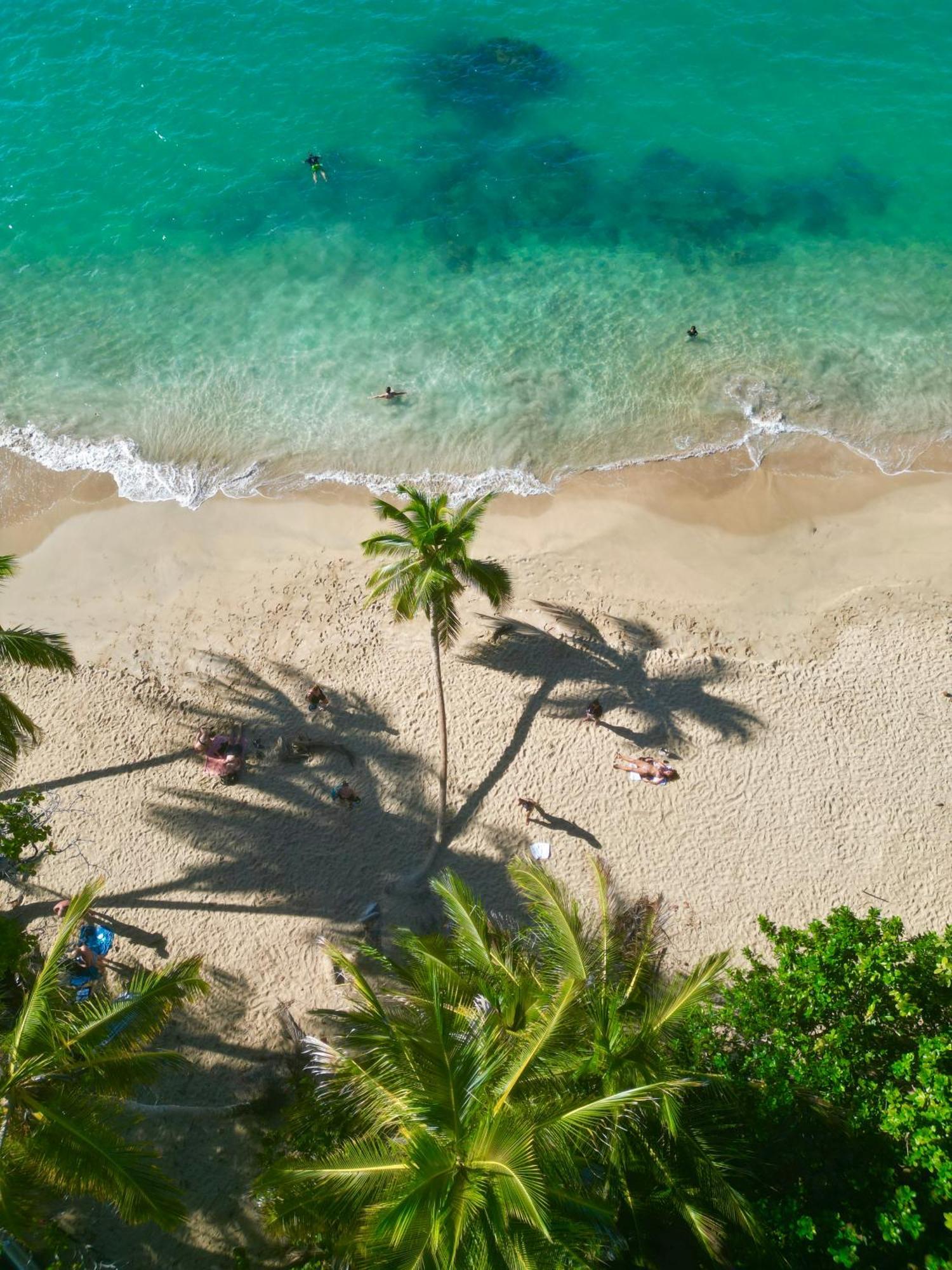 Oso Perezoso Pool Villa Puerto Viejo de Talamanca エクステリア 写真